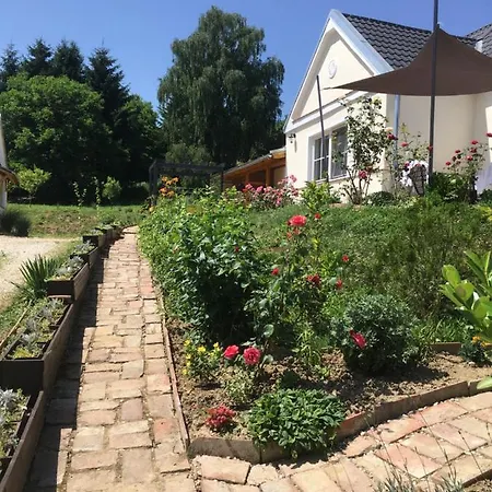 Jokai Vendeghaz Guest house 3*